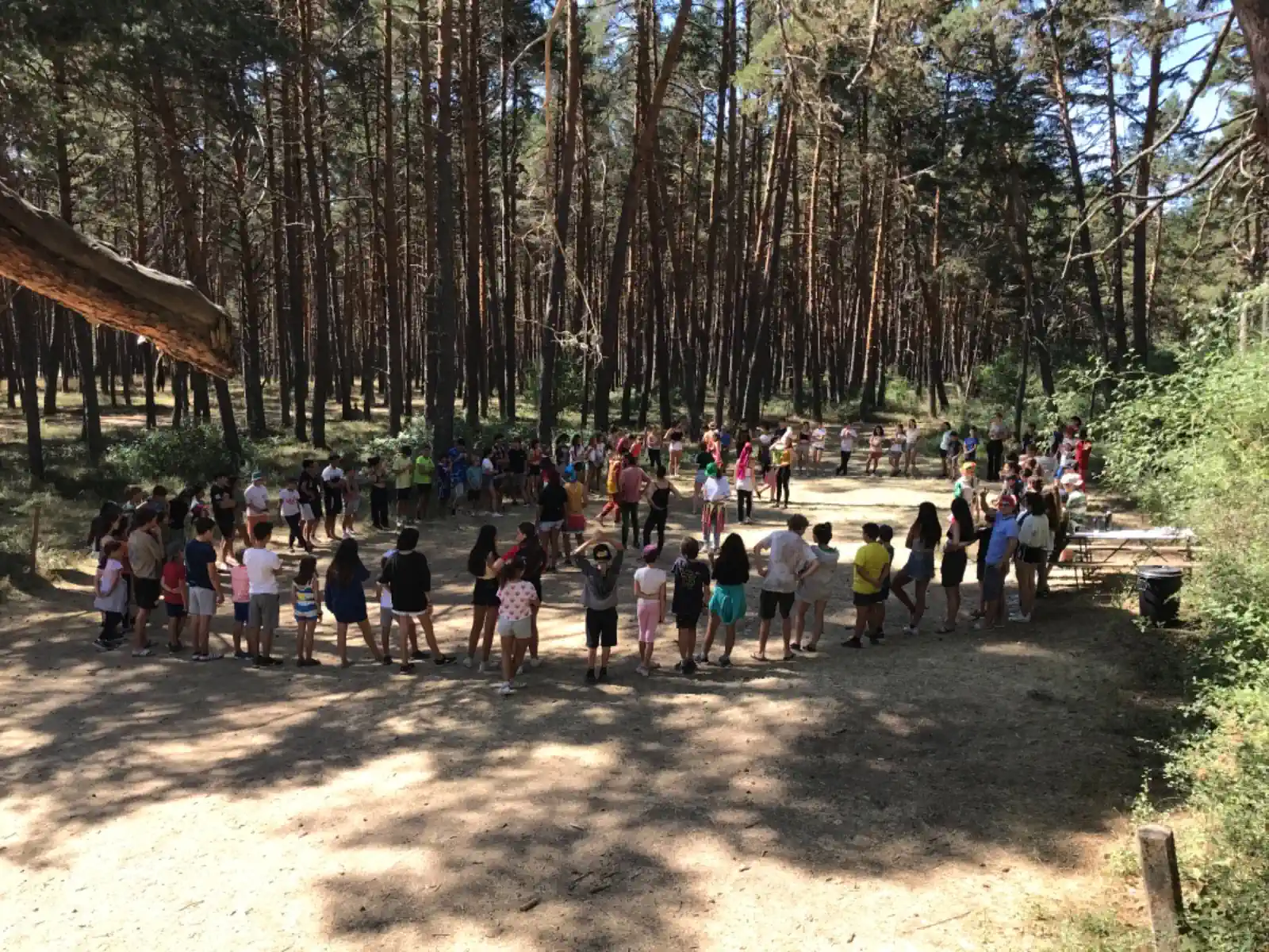 Actividades de campamento adaptadas a todas las edades