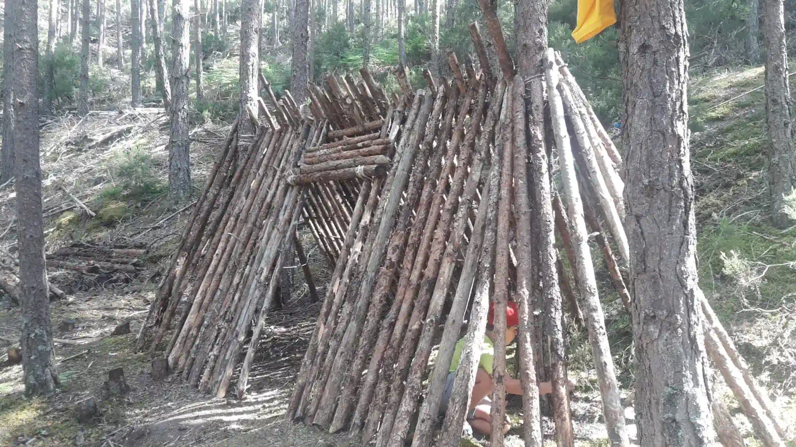 La ruta de las ciudades. Campamento Sherpa 2025